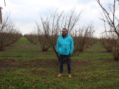 Atomizer Martignani u nasadu Baranjskih lješnjaka