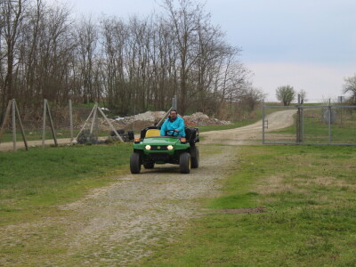 Atomizer Martignani u nasadu Baranjskih lješnjaka
