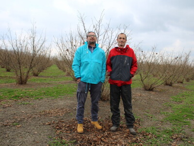 Atomizer Martignani u nasadu Baranjskih lješnjaka