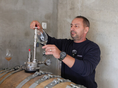 Auric Infinity bačve za vino - proizvodnja bez aditiva - Samir Nađ