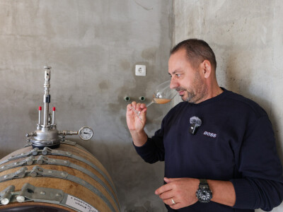 Auric Infinity bačve za vino - proizvodnja bez aditiva - Samir Nađ