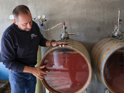 Auric Infinity bačve za vino - proizvodnja bez aditiva - Samir Nađ