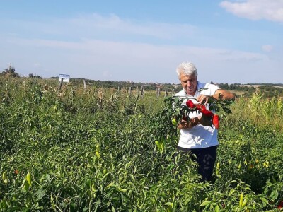 Autohtona paprika roga