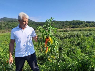 Autohtona paprika roga