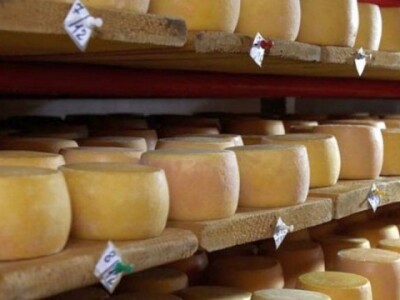 Autohtoni livanjski sir Autohtoni livanjski sir