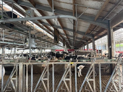 Automatizirana mliječna farma koja proizvodi vlastitu energiju