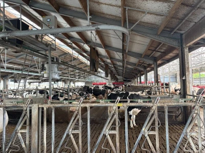 Automatizirana mliječna farma koja proizvodi vlastitu energiju
