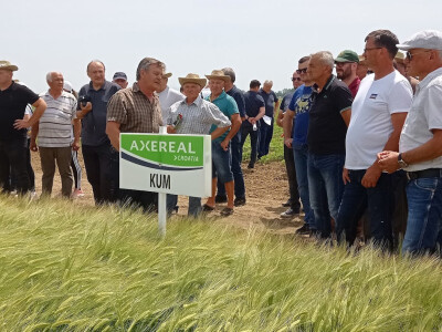 Axereal Croatia: Dan polja pivarskog ječma