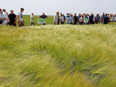 Axereal Croatia: Dan polja pivarskog ječma