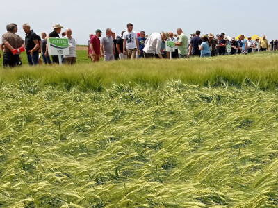 Axereal Croatia: Dan polja pivarskog ječma