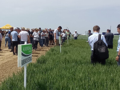 Axereal Croatia: Dan polja pivarskog ječma