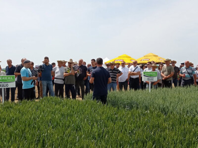 Axereal Croatia: Dan polja pivarskog ječma