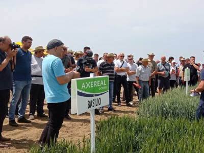 Axereal Croatia: Dan polja pivarskog ječma