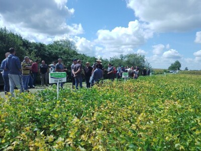 Axereal Dan polja soje