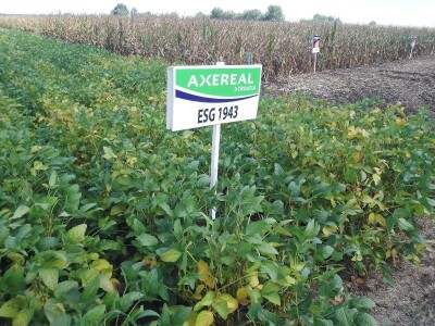 Axereal Dan polja soje