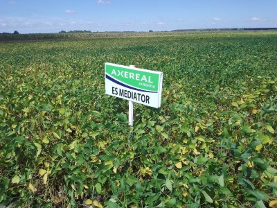 Axereal Dan polja soje