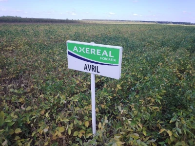 Axereal Dan polja soje