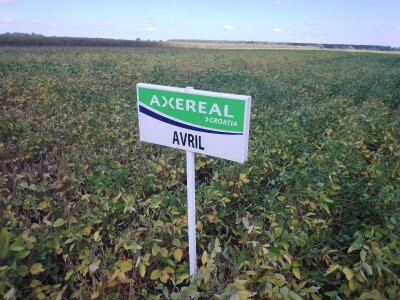 Axereal Dan polja soje