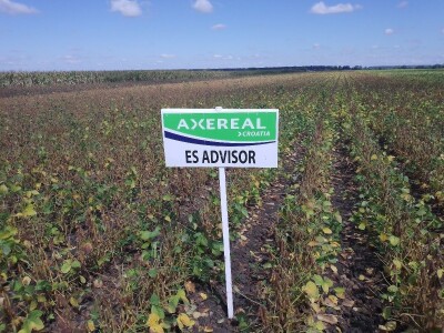 Axereal Dan polja soje