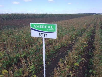 Axereal Dan polja soje