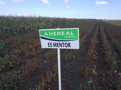 Axereal Dan polja soje