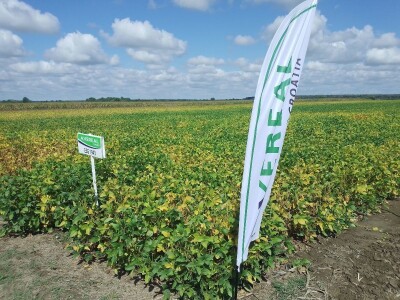 Axereal Dan polja soje