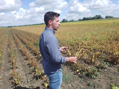 Axereal Dan polja soje