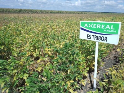 Axereal Dan polja soje