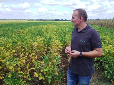 Axereal Dan polja soje