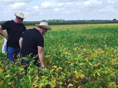 Axereal Dan polja soje