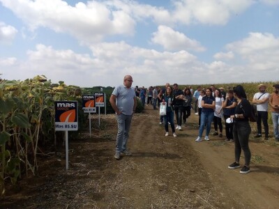 Axereal dan polja soje i suncokreta