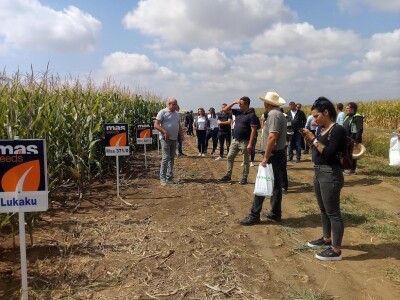 Axereal dan polja soje i suncokreta