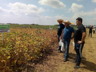 Axereal dan polja soje i suncokreta