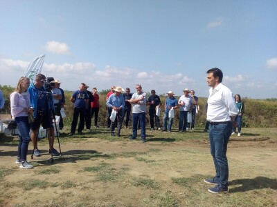 Axereal dan polja soje i suncokreta