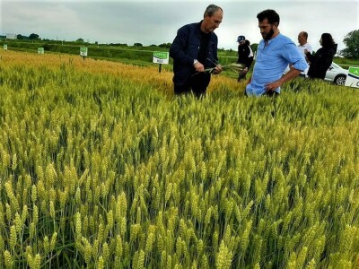 AXEREAL žetva ječma