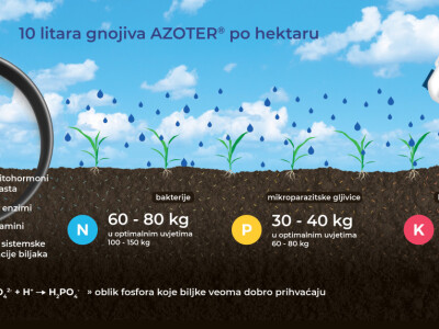 AZOTER bakterijska gnojiva