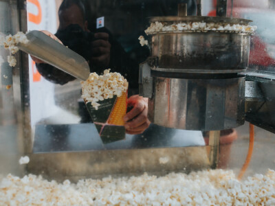 KWS - Premijera PLUS4GRAIN hibrida kukuruza