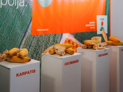 KWS - Premijera PLUS4GRAIN hibrida kukuruza