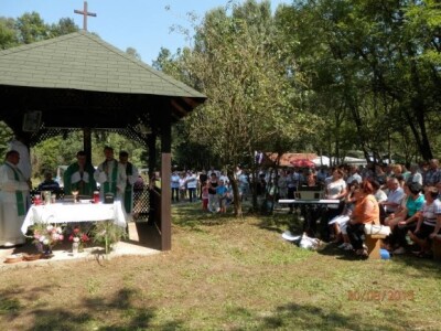 Svetu misu je služio vlč. Ivica Bačani iz Virja