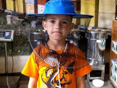 Bojan Stanković, pčelar iz Obrenovca