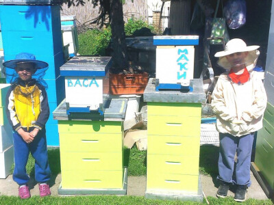 Bojan Stanković, pčelar iz Obrenovca