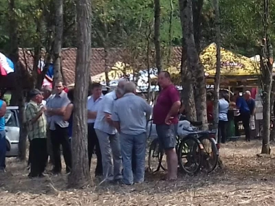 Razgovor u hladovini
