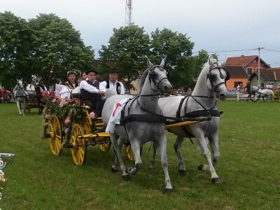 Svatovske zaprege u prolasku hipodrumom