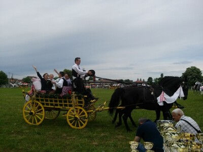 Jedna od svatovskih zaprega u prolazu