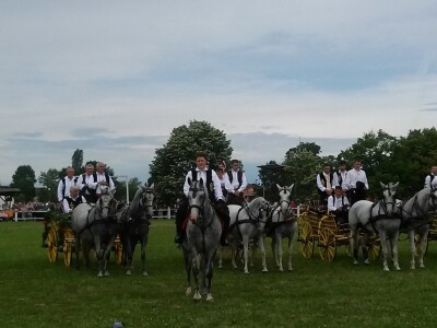 Svatovske zaprege na hipodrumu