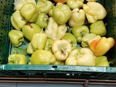 BACANJE PAPRIKE I KRASTAVACA U PODRAVINI