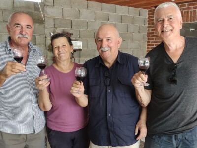 TOPLINSKI VAL - Kako je  Colićev sustav spasio vinograd Bože Bačića