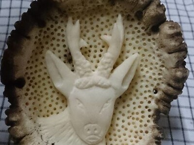 Bački Monoštor: Umetnička dela od komada drveta i jelenskih rogova