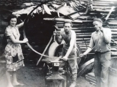 Bačvarija Golub, tradicijski obrt