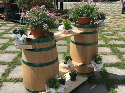 Bačvarija Golub, tradicijski obrt